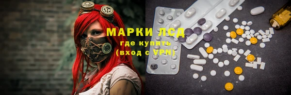 стаф Богданович