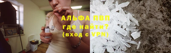 стаф Богданович
