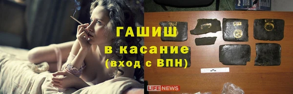 стаф Богданович