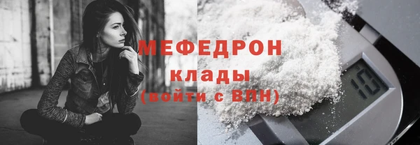 стаф Богданович