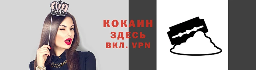 гашик Богородицк