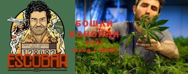 гашик Богородицк