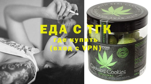 стаф Богданович