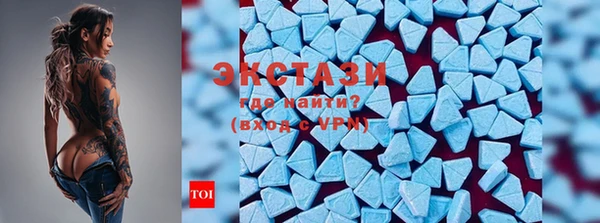 стаф Богданович