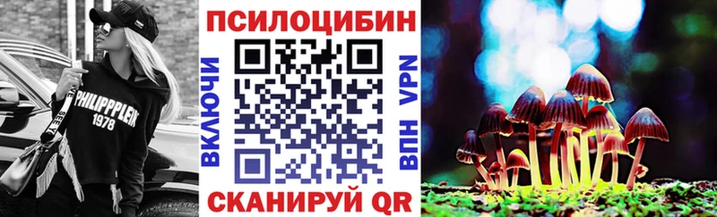 Псилоцибиновые грибы прущие грибы  Дубовка 